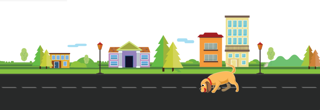Best Search Plugins for WordPress