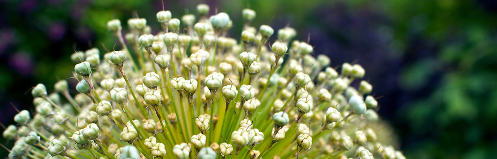 Best Redirection Plugins for WordPress